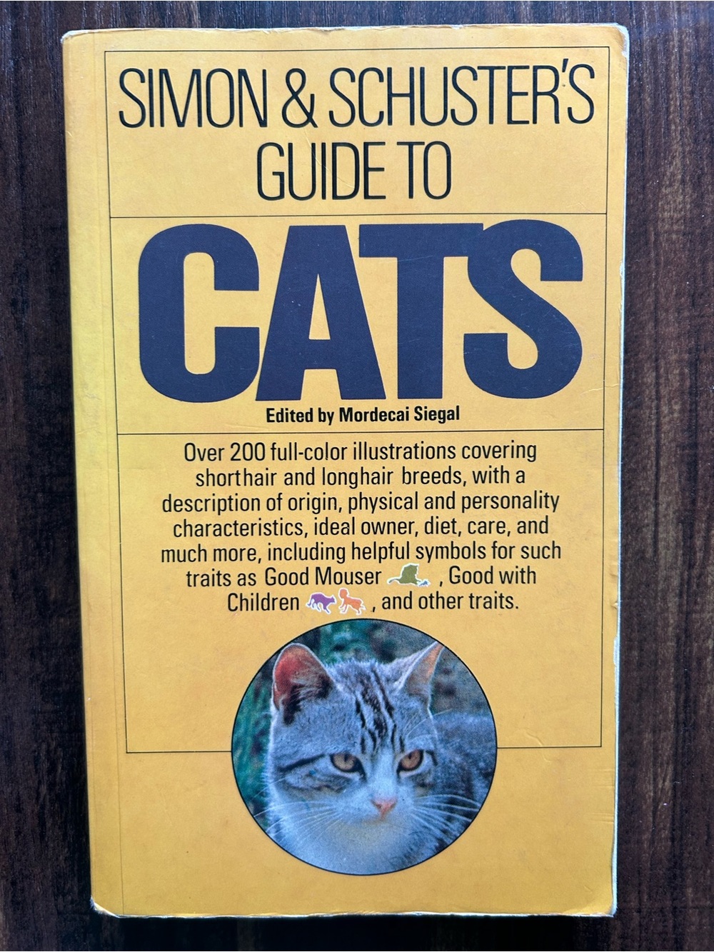 Guide to Cats - Yellow Cover